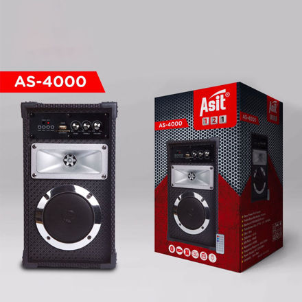 Picture of ASIT Speakers From Asia Masr Model :  AS-4000